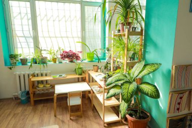 Doğal ışık, bitkiler ve çocuk boyunda mobilyalarla dolu, doğa temelli ve bağımsız öğrenmeyi teşvik eden parlak bir Montessori sınıfı.