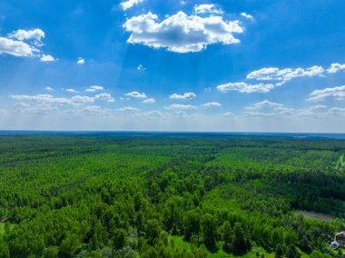 Uçsuz bucaksız yemyeşil ormanı ve ufuk çizgisine uzanan açık arazileri, dağınık mavi gökyüzünün altında, dağınık bulutlarla bir hava görüntüsü yakalıyor.