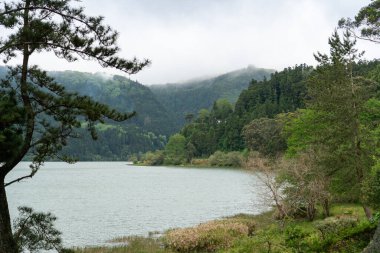 Yoğun yeşil ormanlarda ve sisli dağ tepelerinde yuva yapmış sakin bir göl.