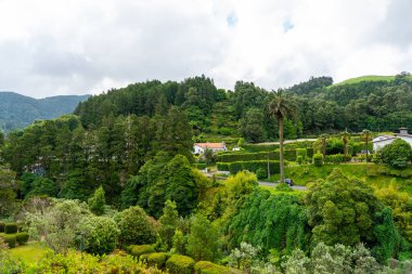 Küçük bir köy ve yol yemyeşil orman tepeleri ve bitki örtüsü arasında yuva yapmış.
