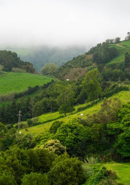 Düşük bulutların altında otlayan atları olan yuvarlanan tepeler ve otlaklar