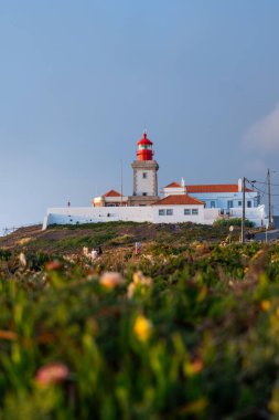 Cabo da Roca deniz feneri. Renkli kır çiçekleri ve yeşil bitki örtüsünün üzerinde.