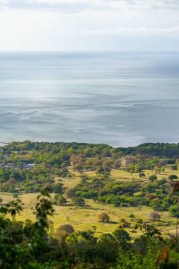 Mauritius tepelerinden sakin bir manzara, yemyeşil bir orman ve sakin bir deniz manzarası.