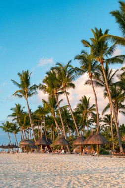 Le Morne, Mauritius - 12 Mayıs 2024: Palmiye ağaçları saman kulübeleri ve turistlerle dolu tropikal bir plaj hizasında.