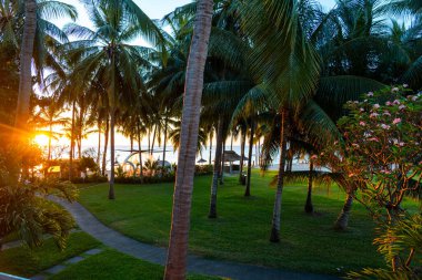 Uzun hindistan cevizi palmiyeleri arasında altın bir gün batımı parlar. Uzakta çimen ve okyanus olan bir tatil köyünde.