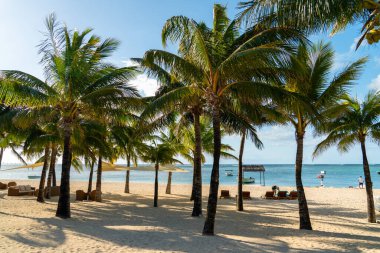 Le Morne, Mauritius - 12 Mayıs 2024: Yüksek palmiye ağaçları sakin turkuaz suların yakınındaki güneşli bir kumsala gölge düşürüyor.