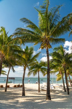 Le Morne, Mauritius - 12 Mayıs 2024: Mavi denizde yüzen uzun hindistan cevizi palmiyeleri ve botlarıyla huzurlu, beyaz kumsal
