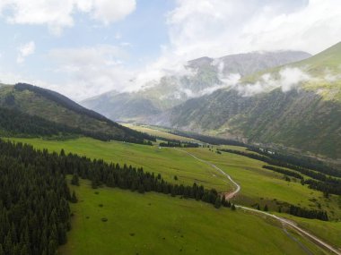 Dar bir patikanın insansız hava aracı görüntüsü yemyeşil bir dağ vadisinde dönüyor. Çam ağaçları ve arka planda sisli tepeler var.