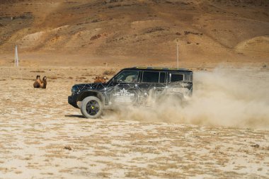Aktash, Altai Cumhuriyeti - 12 Ekim 2023: Siyah bir Jetour T2 SUV arka planda iki deve ve ve çorak tepeler ile tozlu bir patikada off-road yapıyor