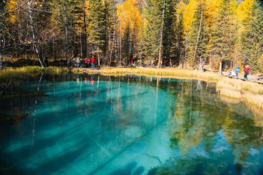 Aktash, Altai Cumhuriyeti - 12 Ekim 2023: Mavi Geyser Gölü 'nün açık mavi sularıyla, sonbahar ağaçları ve uzak kıyılarda duran bir grup insanla yatay görüntüsü