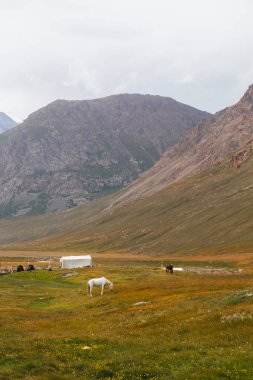 İki at, bulutlu bir gökyüzünün altında uçsuz bucaksız bir dağ vadisinde küçük beyaz bir çadırla yeşil bir çayırda otluyor.