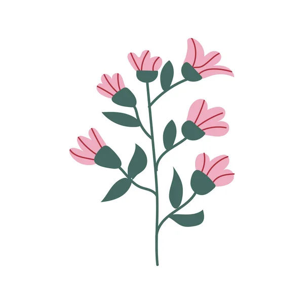 Handtekening Bloei Botanische Roze Natuurlijke Bloem — Stockvector