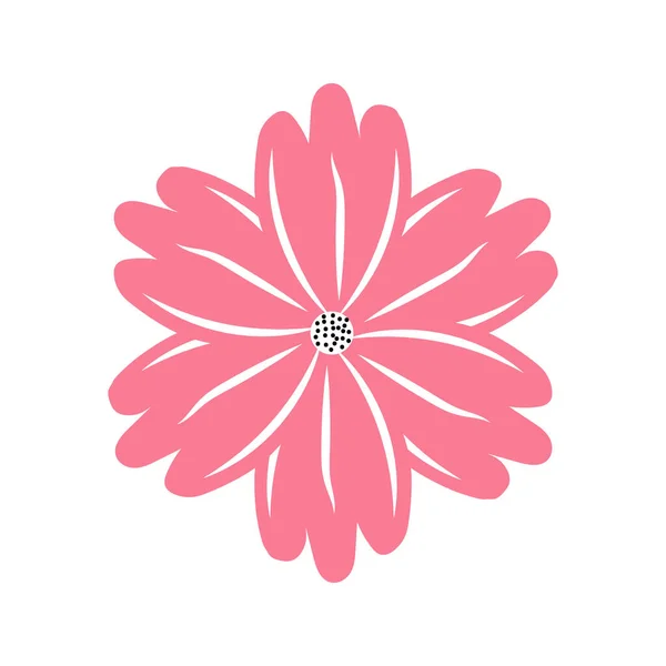 Summer Floral Pink Daisy Flower Vector Illustration — Stock Vector