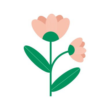 Güzel yaz çiçekli çiçek vektör çizimi