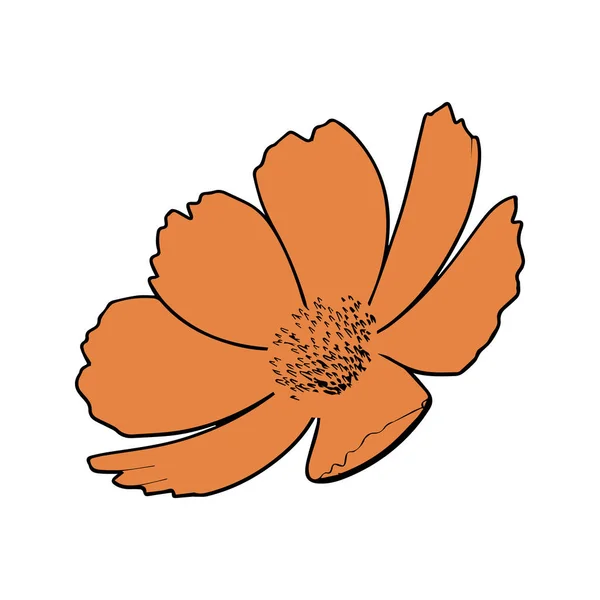Oranje Kleur Hand Tekening Bloemen Bloem Vector Illustratie — Stockvector