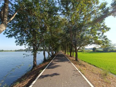 Parkta koşmak için yol