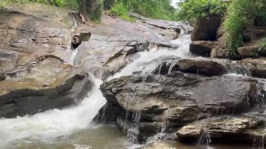 Beautiful waterfall in the forest, Thailand travels, nature, tree in the forest, Mae Sa Waterfall Doi Suthep-Doi Pui National Park