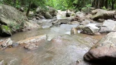 Beautiful waterfall in the forest, Thailand travels, nature, tree in the forest, Mae Sa Waterfall Doi Suthep-Doi Pui National Park