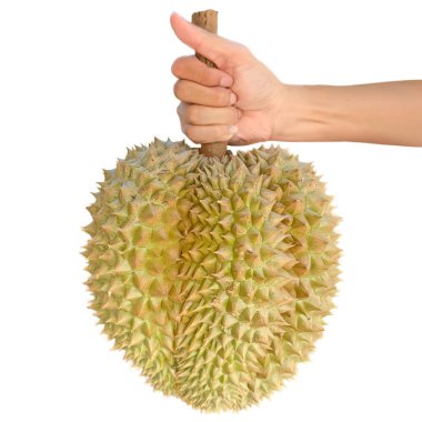 El ele tutuşan dev Durian.