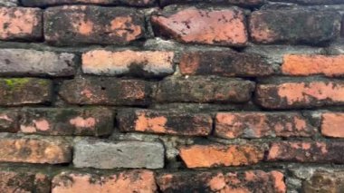 Tayland topraklarındaki Ayutthaya tarihi parkı, görüntüler, seyahat, doğa