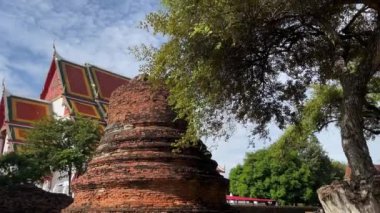 Tayland topraklarındaki Ayutthaya tarihi parkı, görüntüler, seyahat, doğa