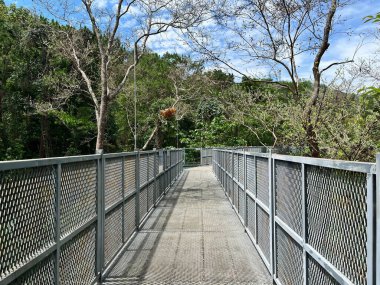 Botanik bahçesinde hava yürüyüşü, ferahlatıcı, sabah, doğa turizmi, Kraliçe Sirikit Botanik Bahçesi, Chiang Mai Tayland
