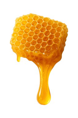 Fresh honeycomb dripping with golden honey on white background. Perfect for advertising, healthy food concepts, or natural product packaging