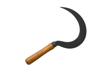 Traditional rice sickle isolated on transparent background. Metal blade with wooden handle, used harvesting crops. Perfect for agricultural designs, educational content, rural lifestyle, clipping path