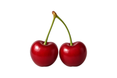 Two fresh red cherries with green stems isolated transparent background. Juicy and ripe summer fruits perfect food advertisements, packaging, healthy lifestyle concepts, culinary design, clipping path