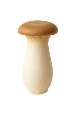 beyaz izole enoki mantar