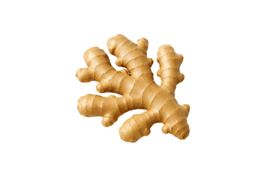 Beyaz arkaplanda zencefil kökü izole edildi