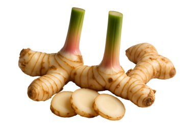 Beyaz arka plan aromatik baharata izole edilmiş taze galangal kökü ve Asya mutfağında yaygın olarak kullanılan şifalı bitkiler, bitkisel ilaçlar ve doğal sağlık. Mutfak, yemek ve sağlık kavramları için mükemmel.