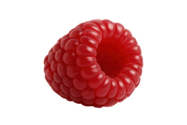 Taze olgun ahududu şeffaf arka planda izole edilmiş, sulu dokuları ve canlı kırmızı renkleri gösteren yakın çekim, gıda, sağlık ve beslenme kavramları için mükemmel.