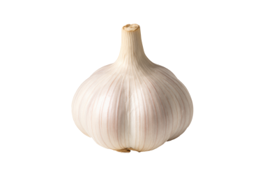 Beyaz arka planda taze sarımsak soğanı. Mutfak, sağlık ve organik gıda kavramları için mükemmel.