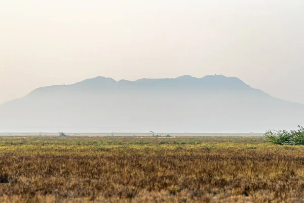 Утро Ранне Катча Пустыня — стоковое фото