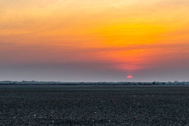 Kutch Çölü 'nde Güneş Doğuyor