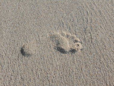 Kum plajı arka planında ayak izleri. Islak kumsalda ayak izleri. Kumsalda bir adamın ayak izi. Ayak izinin kapanışı.