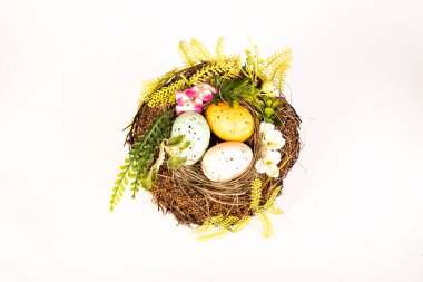 Easter eggs and nest theme on isolated white background.