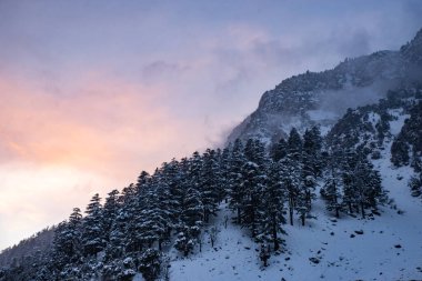 Snowy mountain with golden hour sunset light wallpaper.