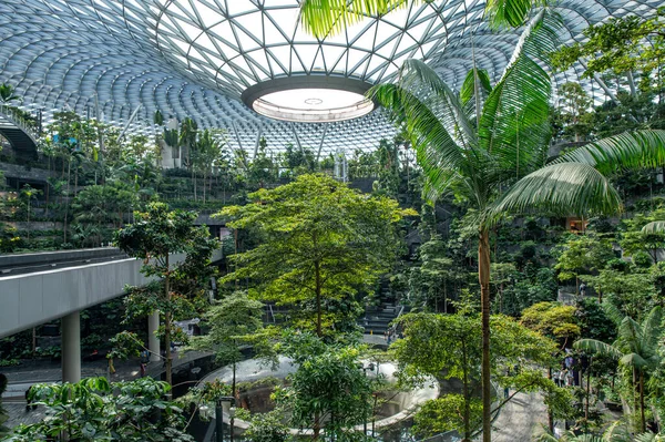 Changi Singapur Havalimanı 'nda ağaçlar ve orman temalı Jewel Şelalesi.