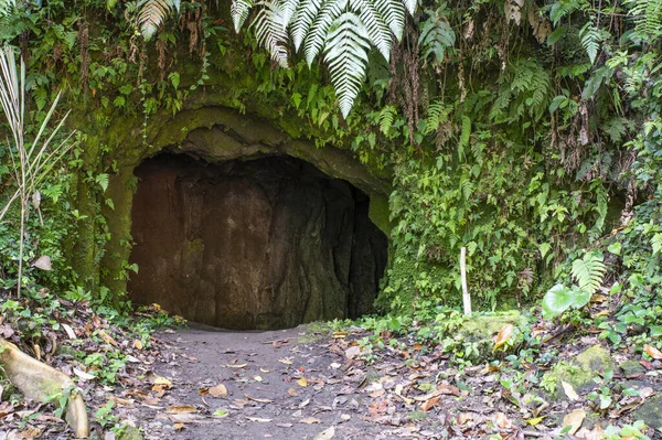 Orman temalı dağdaki doğal mağara.