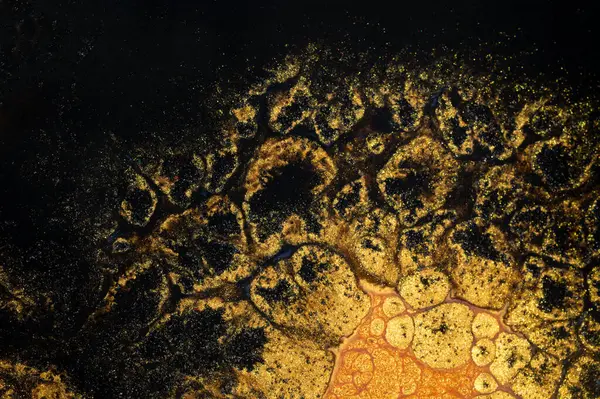 Zufällige Goldglitter Acryl Herstellung Marmor Abstrakten Hintergrund Stockbild