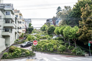 San Francisco, California 'da Lombard caddesinde araba sürüyor..