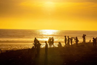 Ventura California 'da büyük kış dalgalarında sörf yapmak