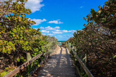 Sunny winter day after passing storm at Bonsteel Park Sebastian 
