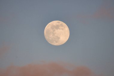 Surfing Giant waves on West Beach in Santa Barbara