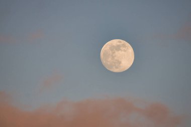 Surfing Giant waves on West Beach in Santa Barbara