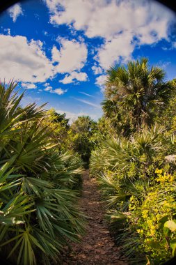 Winter beach day along A1A in Melbourne beach, Florida