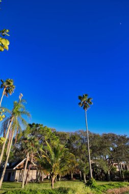 sunset on the river in Indialantic Florida