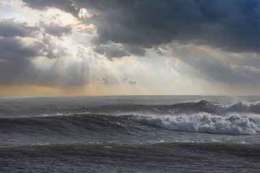 Büyük dalgalar Santa Barbara limanını vurdu.